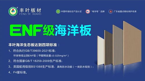 豐葉板材強勢登陸高鐵傳媒春節檔，開啟品牌推廣新篇章