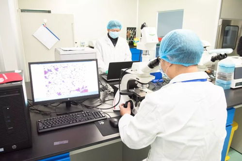 1000批次食品安全抽檢，護(hù)您疫情期間吃得放心