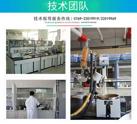 專業服務護航，技術服務賦能企業數字化轉型